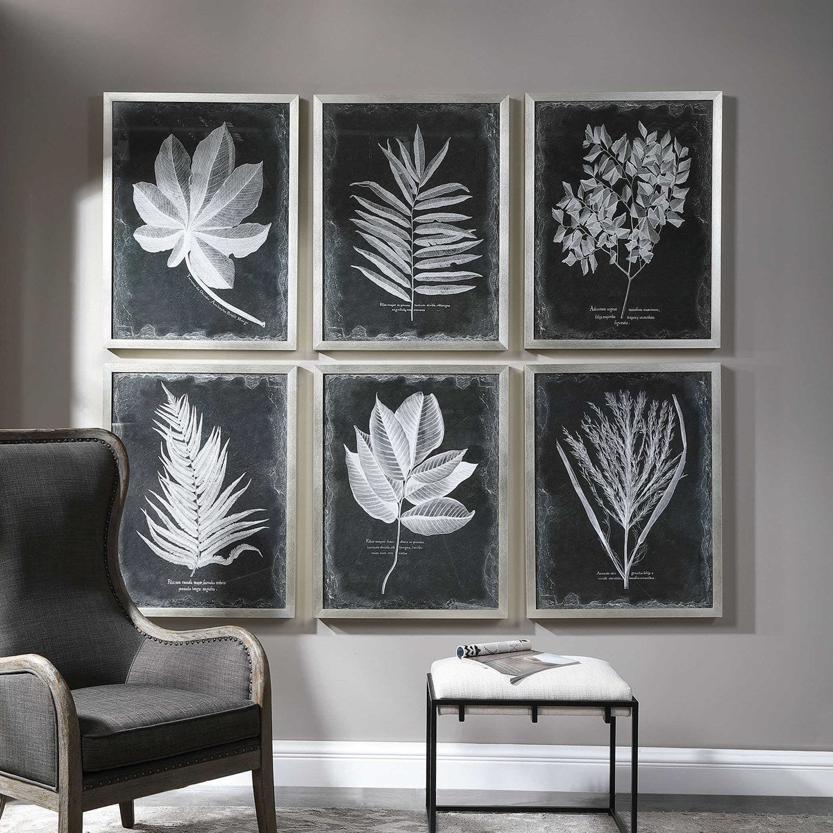 Foliage Framed Prints S/6
