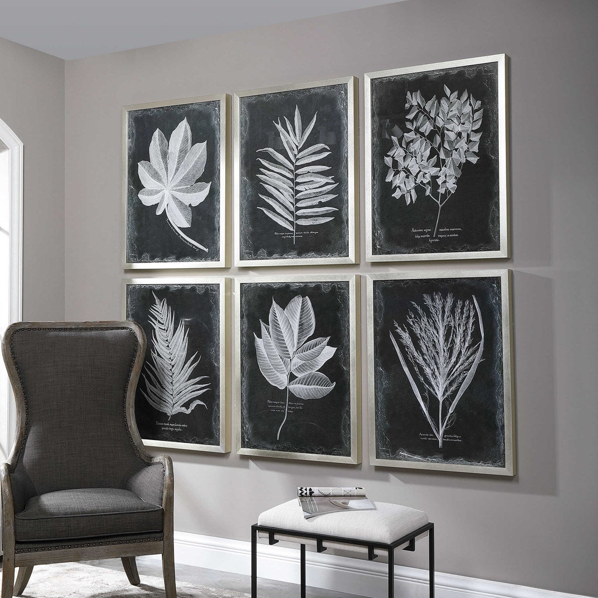 Foliage Framed Prints S/6