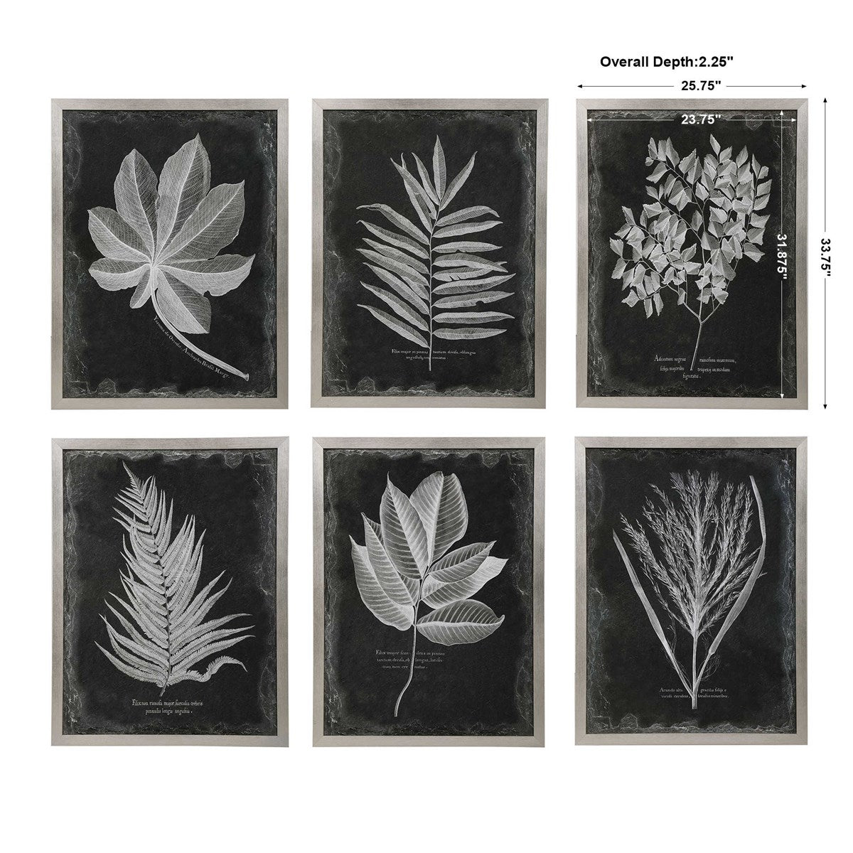 Foliage Framed Prints S/6