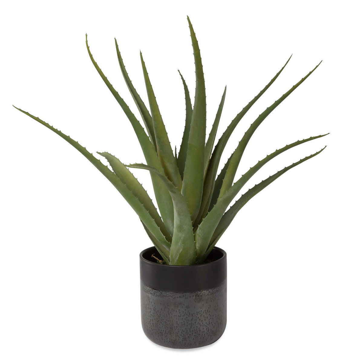 Tuscon Aloe Planter