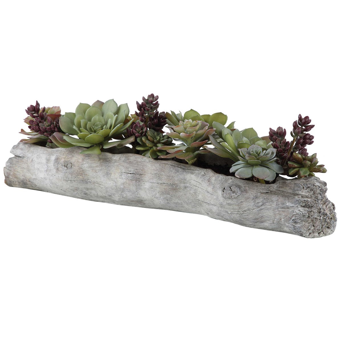 Charita Succulents