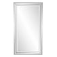 Omni Mirror