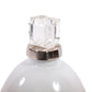 Arctic Glacier Glass Bottle