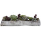 Charita Succulents