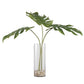 Glass Vase With Ibero Split Leaf Palm